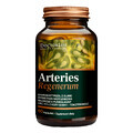 Doctor Life Arteries Regenerum, 60 capsules