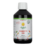 Joy Day Probiotic Kids, ecologisch, 300 ml