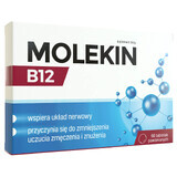 Molekin B12 100 µg, 60 filmomhulde tabletten