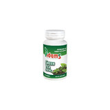 Groene Thee 400 mg, 60 capsules, Adams