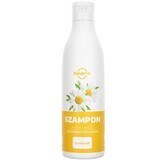 Novame, shampoo voor gebleekt en blond haar, kamille, 300 ml