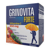 Grinovita Forte, 10 zakjes