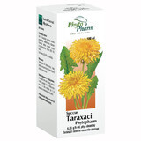 Succus Taraxaci Phytopharm 4,85 g/ 5 ml, liquido orale, 100 ml