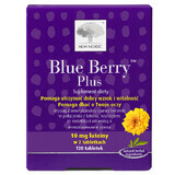 New Nordic Blue Berry Plus, 120 tabletten