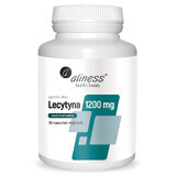 Aliness Lecithine 1200 mg, 60 capsules