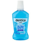 Dentica, mondwater, Ultra White, 500 ml