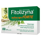 Fytolysine Nefrocaps Forte, 30 capsules