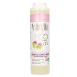 Anthyllis EcoBio, shampoo voor vet haar en roos, kliswortelextract, 250 ml