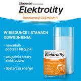 Elektrolyten, sinaasappelsmaak, 7 sachets