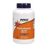 Now Foods Pantotheenzuur, Pantotheenzuur 500 mg, 250 plantaardige capsules