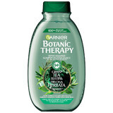 Garnier Botanic Therapy, verfrissende shampoo voor normaal haar met neiging tot vet, groene thee, 400 ml