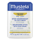 Mustela Bebe Enfant, beschermende stick met koude crème, vanaf de geboorte, 9,2 g