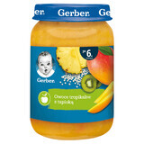 Gerber dessert, tropisch fruit met tapioca, na 6 maanden, 190 g