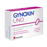 Gynoxin Uno 600 mg, 1 capsula molle vaginale