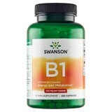 Swanson B1, Thiamine 100mg, 250 Capsules