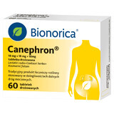 Canephron 18 mg + 18 mg + 18 mg, 60 geïrriteerde tabletten