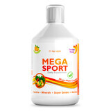 MEGA SPORT – Complex Lichid, 500ml, Swedish Nutra