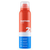 Panthen Plus, verkoelend schuim, panthenol 20%, 150 ml