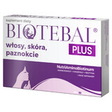 Biotebal Plus Hair Skin Nails, 30 tablets + 10 free tablets