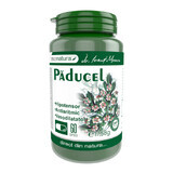 Paducel, 60 capsules, Pro Natura