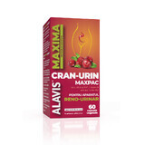 Supplement for the protection, comfort and normal functioning of the reno-urinary system Cran-Urin Maxpac, 60 vegetable capsules, Alavis Maxima