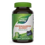 Ashwagandha Gummy Jellies met bessensmaak Ashwagandha Gummy, 125 mg, 90 jellies, Secom