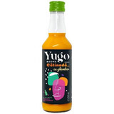 Yugo Boomb Catinada organic juice with ginger, 250 ml, Elgeka