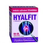 Hyalfit + vitamin C 90 capsules