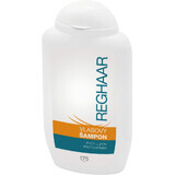 Reghaar anti-roos haarshampoo 175 ml