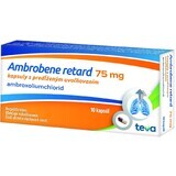 Ambrobene RETARD 75 mg cps plg 10 gélules