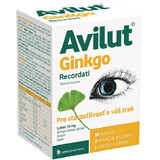 Avilut Ginkgo Recordati 90 cápsulas