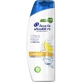 Head & Shoulders Citrus Shampoo for Oily Hair 400 ml