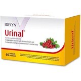 Idelyn Urinaal 60 capsules