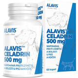 Alavis CELADRIN voor honden en katten 60 capsules