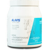 Alavis MSM + PATENTED COLAGENS voor paarden 600 g