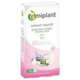 Strisce depilatorie per il viso Velvet Touch, 20 strisce + 2 tovaglioli, Elmiplant