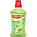 Colgate Herbal Fresh mouthwash 500 ml