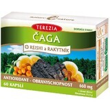 Terezia Chaga + reishi en duindoorn 60 capsules