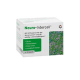 Neuro-Intercell ayuda al sistema nervioso 90 cápsulas, Intercell