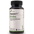 Kudzu-extract 400 mg (90 capsules) Pharmovit Classic