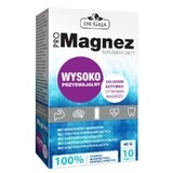 ProMagnesium 10 sachets 40g Dr Gaja