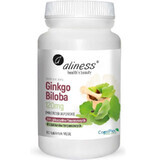 Ginkgo Biloba (ginkgo biloba) 120 mg 60 zuigtabletten Aliness