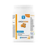 Ergycebe Multivitamine Nutergia (synergie van 12 vitaminen, zink en chroom) 90 capsules