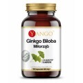 Ginkgo biloba extract 24% (100mg 90 capsules) Yango