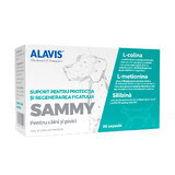 Supplementen voor honden en katten Sammy, 30 capsules, Alavis