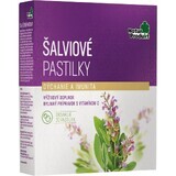 NaturProdukt Pastile de ceapă 1×20 buc, supliment nutritiv