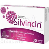 SILVINCINA 1×30 cps, complemento alimenticio