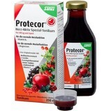 SALUS Protecor Actief Hart Kruidentonic 1x250 ml