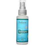 SALOOS Luchtverfrisser Eucalyptus 1×50 ml aroma Eucalyptus Luchtspray