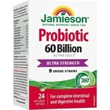 JAMIESON PROBIOTIC 60 BILLION ULTRA STRENGTH 1×24 cps, mélange de cultures bactériennes